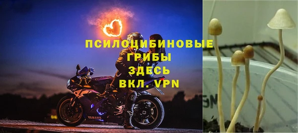 2c-b Новокубанск