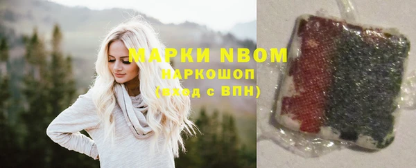 дмт Новодвинск