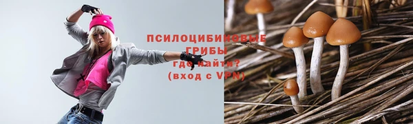 дмт Новодвинск