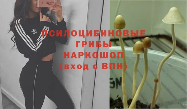 дмт Новодвинск