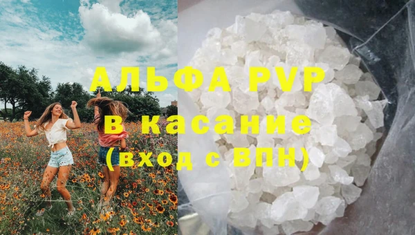 дмт Новодвинск