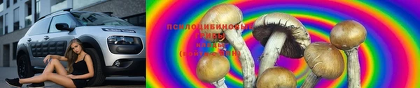 2c-b Новокубанск