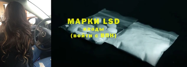дмт Новодвинск