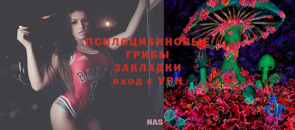 дмт Новодвинск
