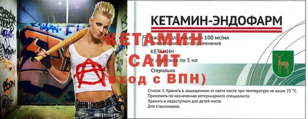 дмт Новодвинск