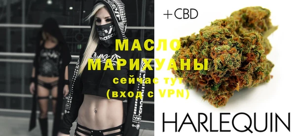 дмт Новодвинск