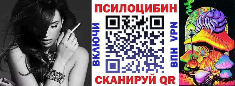 Галлюциногенные грибы Psilocybe  Ачинск 